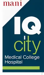 IQ City Logo